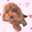 はなこふぃ