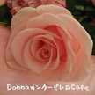 donnadonna