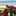 めぐ☆1105 めぐ☆1105