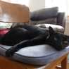 ４階の黒猫