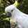 birdlover☆