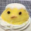 ハルドン
