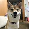 ポポ吉とさえ吉