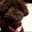 Rady_