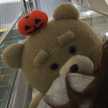 ✩meeeee12✩