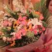 共働き主婦モモコ