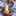 こは* こは*