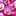 りのりぼんりん りのりぼんりん