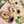 やっこ