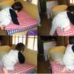 陸ちゃんママ