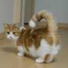いざいざにゃん