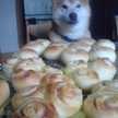 CAORU_