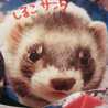 ☆しるこ☆