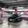 hashimoto2
