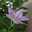 yuming4093