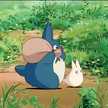 🐰