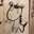 kaaappa