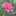 楓くん 楓くん