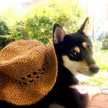yuco＊＊