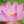 ふわふわクック☆