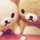 ✽みほ✽ ✽みほ✽