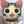 りゅうままひろぴょん