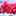 lani_8037 lani_8037