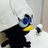 dopicochan