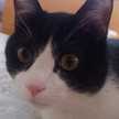 ソラねこ22