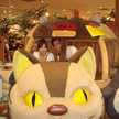 shiraco