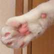 ★しろねこ★