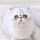 fuwa_neko fuwa_neko