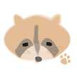 あらいぐまにゃんこ