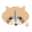 あらいぐまにゃんこ