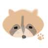 あらいぐまにゃんこ