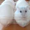 ち〜ころん ち〜ころん