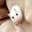 るこんこ