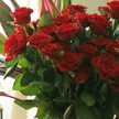 薔薇色深紅