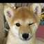 てんこむ