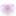 apricot824 apricot824