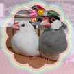attaka