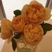 Madeleine☆