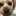Liopy