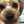 Liopy