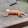 reitry