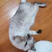 みー