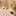 rabbit_c rabbit_c