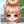 りすこにゃん