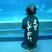 himmelーソラ