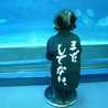 himmelーソラ